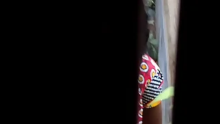 Desi Discarded and Piss4.AVI